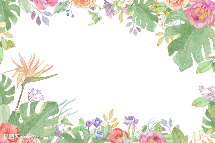 蔬間花語(yǔ) 小清新花卉與蔬菜的治愈系插畫