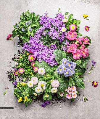 自然與蔬食的融合 蔬菜主題花卉園藝平面設(shè)計(jì)素材高清圖集