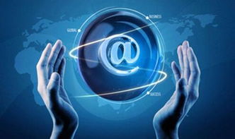 黑蜘蛛 數據賦能，引領傳統企業掘金跨境電商新藍海